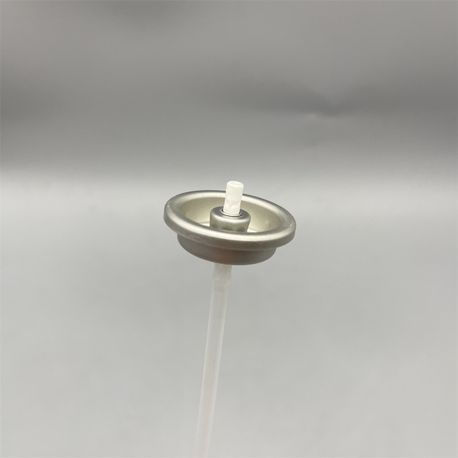 carburetor cleaner valve (1)