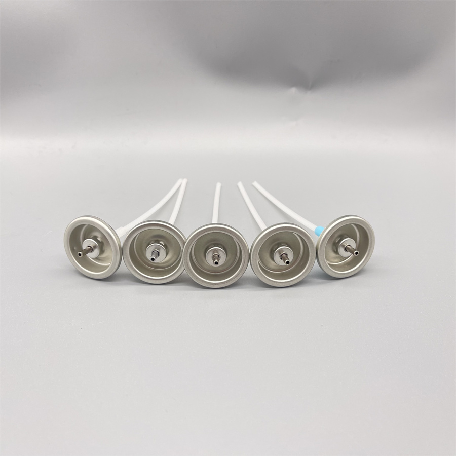 Versatile Aerosol Dispenser Valve for Fresh and Inviting Environments