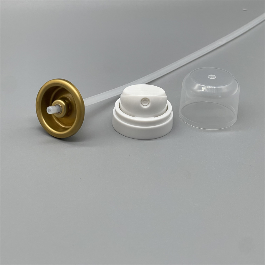 body spray valve (122)