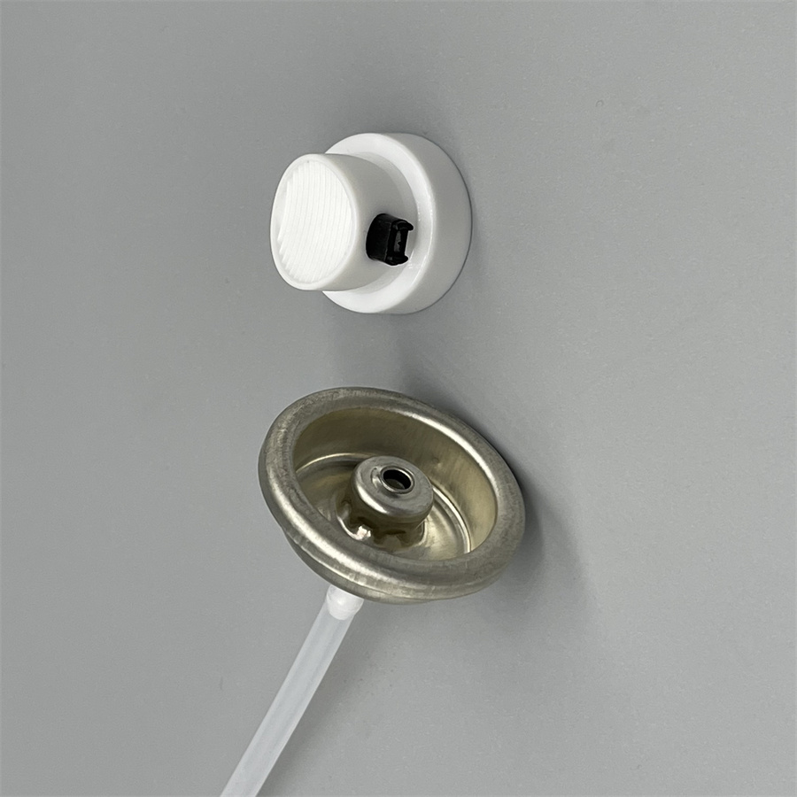 female paint valve (60)