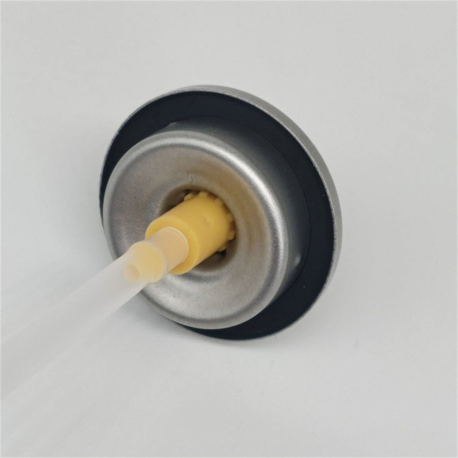 dry shampoo spray valve (69)