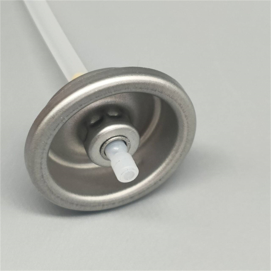 Hair Sheen Spray Valve (12)