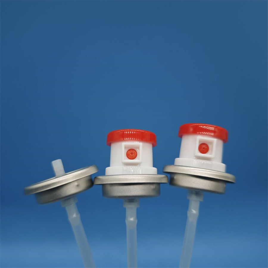 Inkweto zisukura Valve55