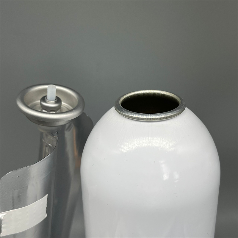 bag on valve (25)