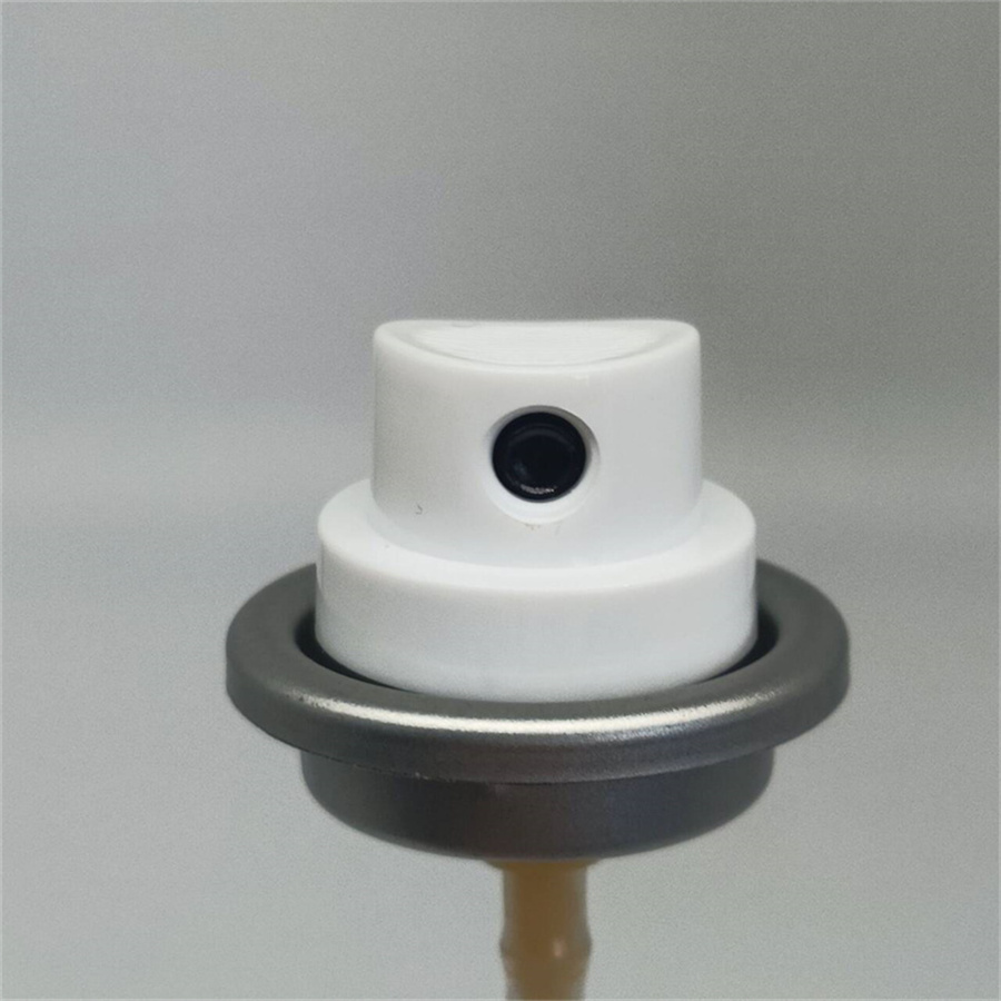 Customizable Antiperspirant Aerosol Spray Valve for Beauty Enthusiasts with Personalized Features