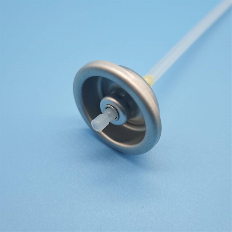 Durable Facial Water Atomizer Valve for Spa Treatments