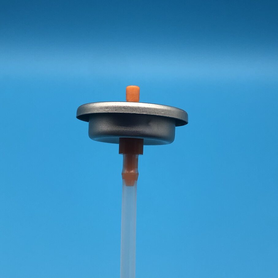 paint spray valve (20)