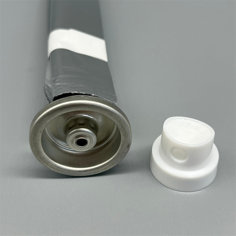 bag on valve (31)