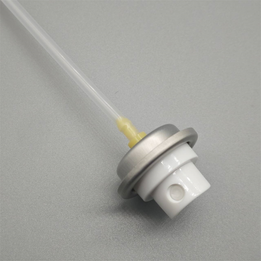 Hydrating Water Sprayer for Face