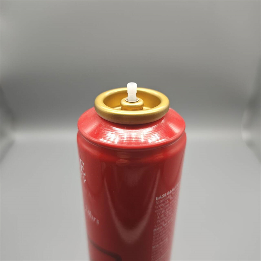 hair mousse08
