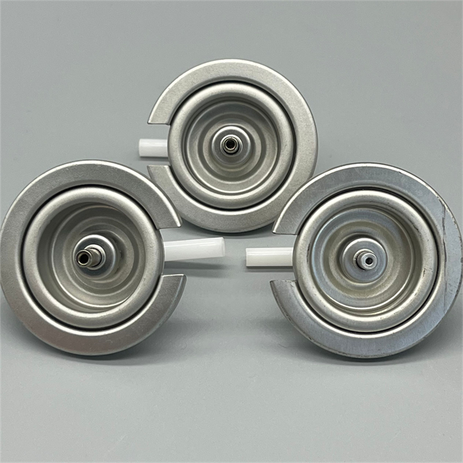 Butane gas valve (21)