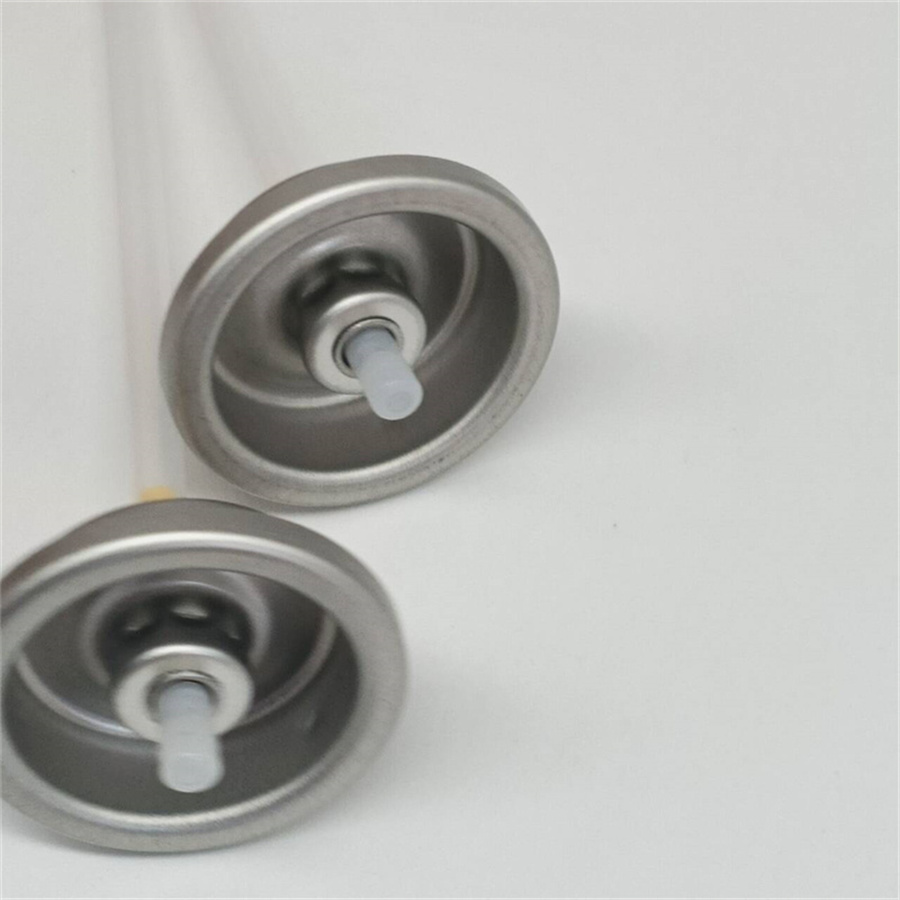  Premium Dry Shampoo Spray Valve for Personal Use with Fine Mist