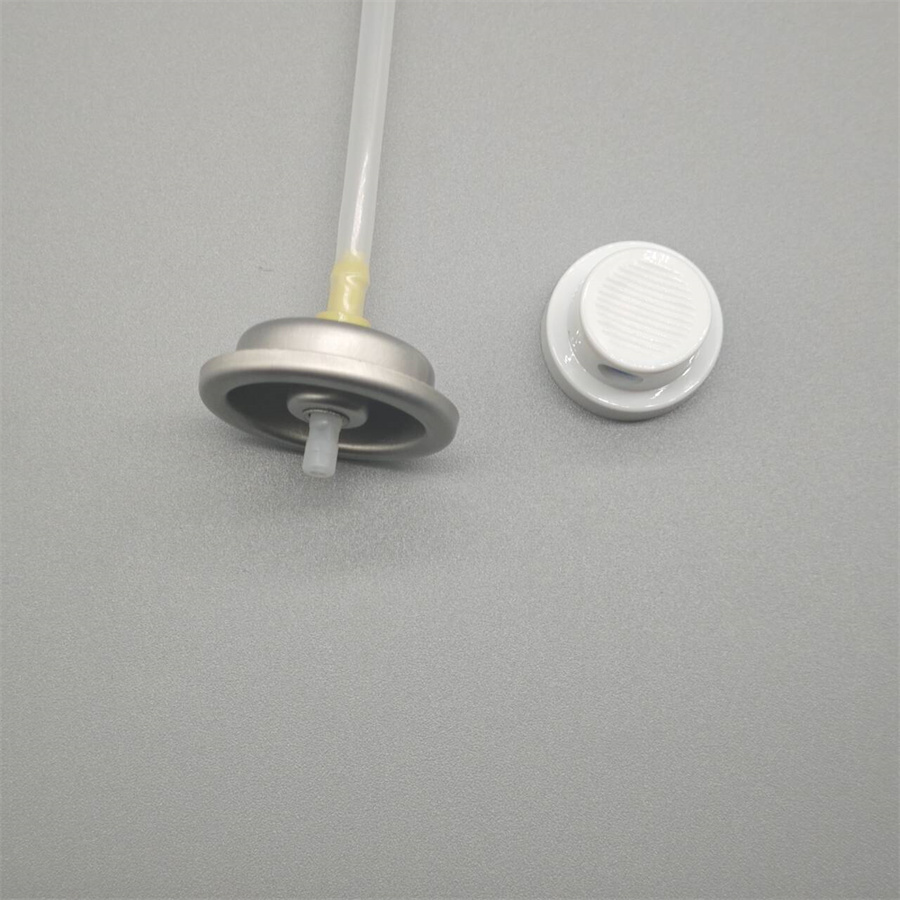 Facial Water sprayer valve71
