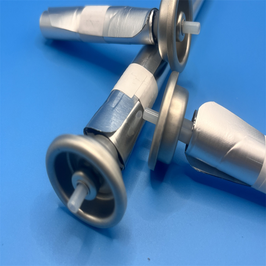 Customizable Bag on Valve System for Tailored Packaging Solutions