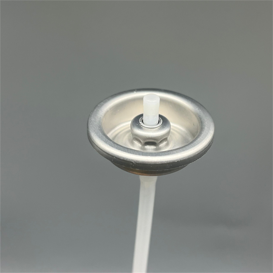 Shoes socks cleaning valve actuator (33)