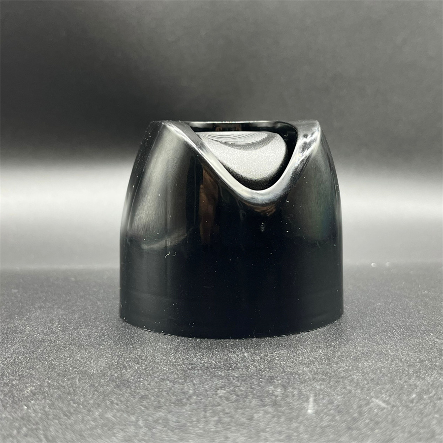 aerosol cap (312)