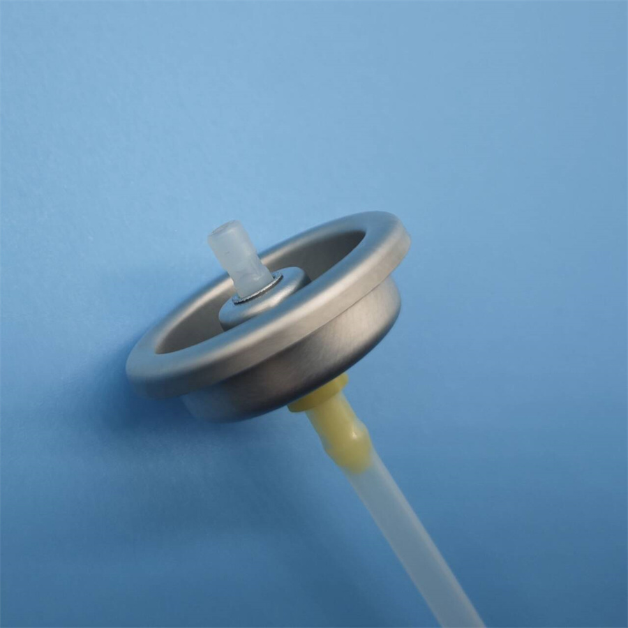 Facial Water sprayer valve58