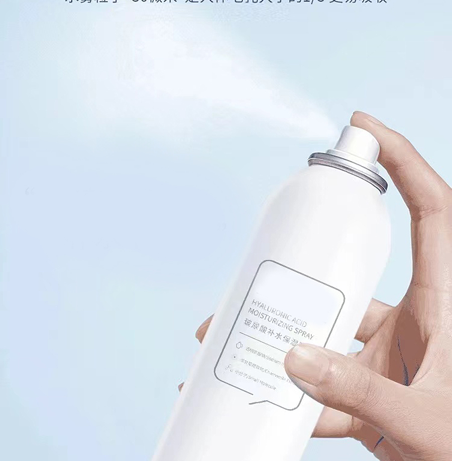 Facial water sprayer valve (9)