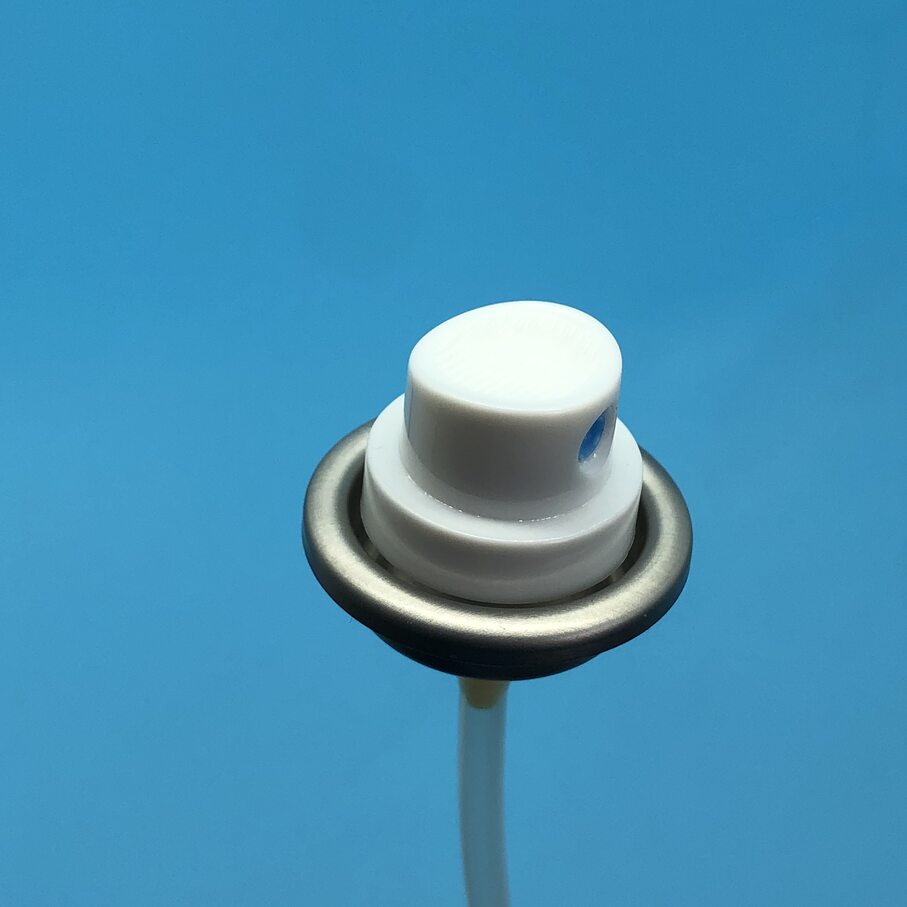 Facial water sprayer valve (9)