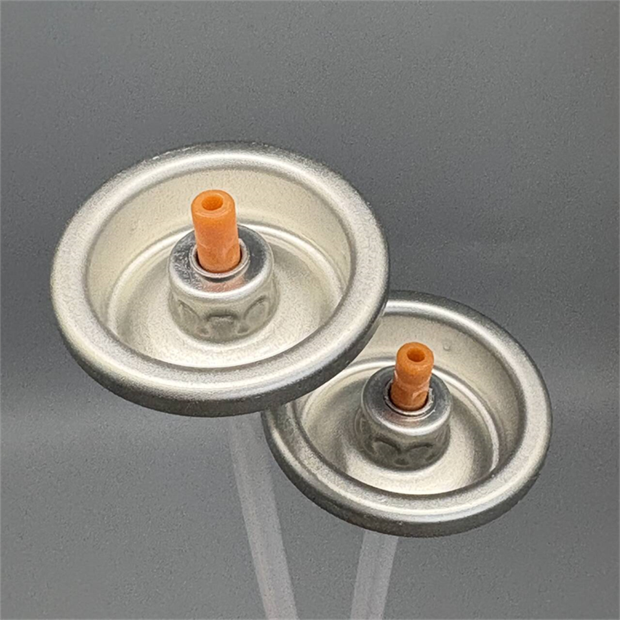 shaving foam valve (24)