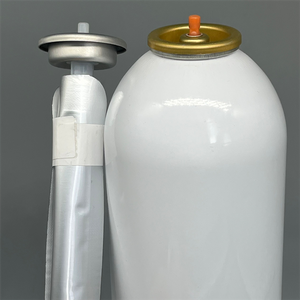 Innovative Bag-on-Valve for Personal Care Products with Continuous Spray and Eco-Friendly Design