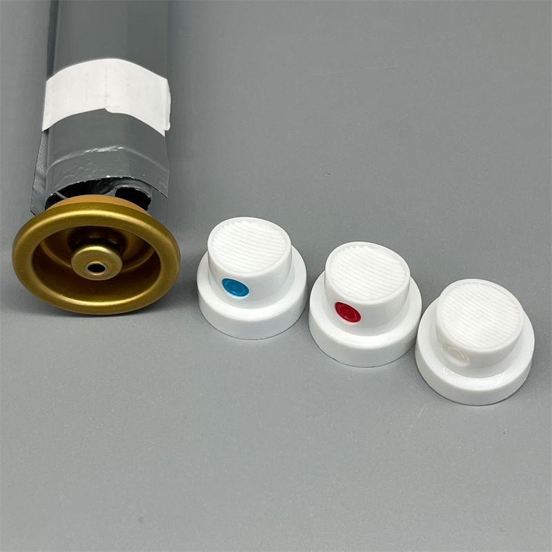 bag on valve (12)
