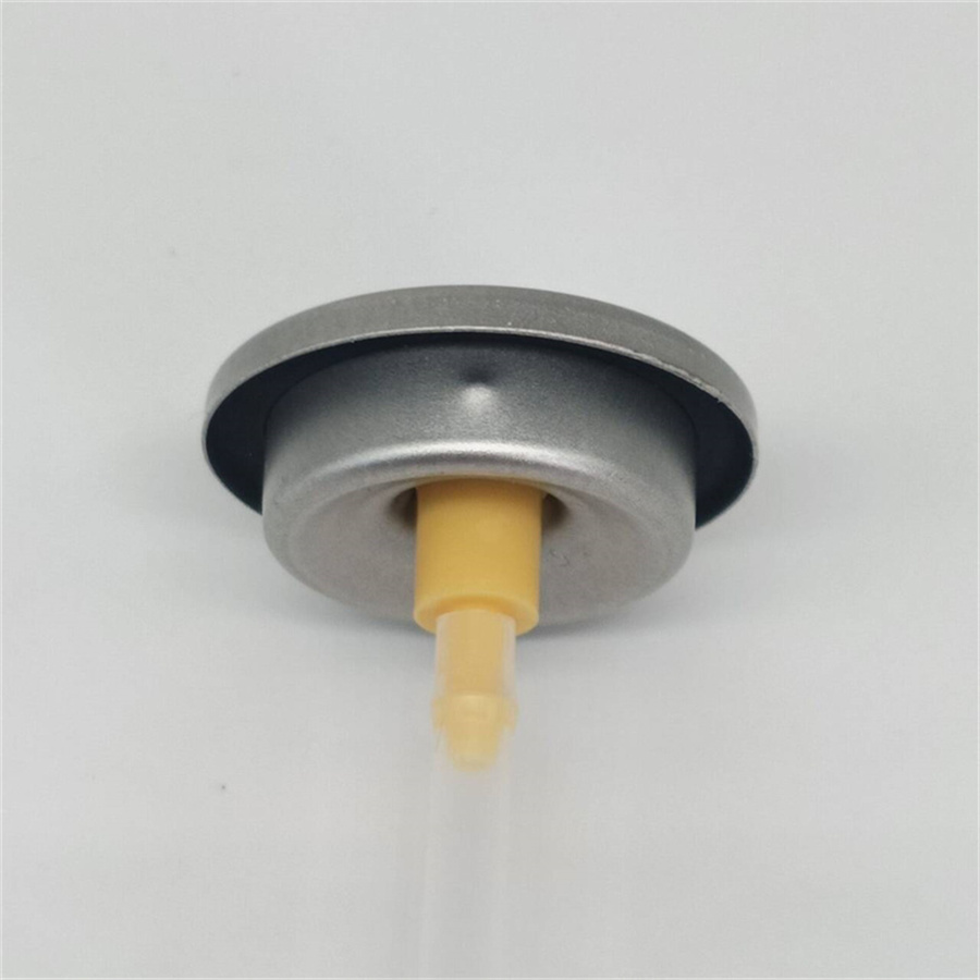dry shampoo spray valve (55)