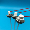 Multi-Solvent Compatible Valve for Various Carburetor Cleaning Solutions