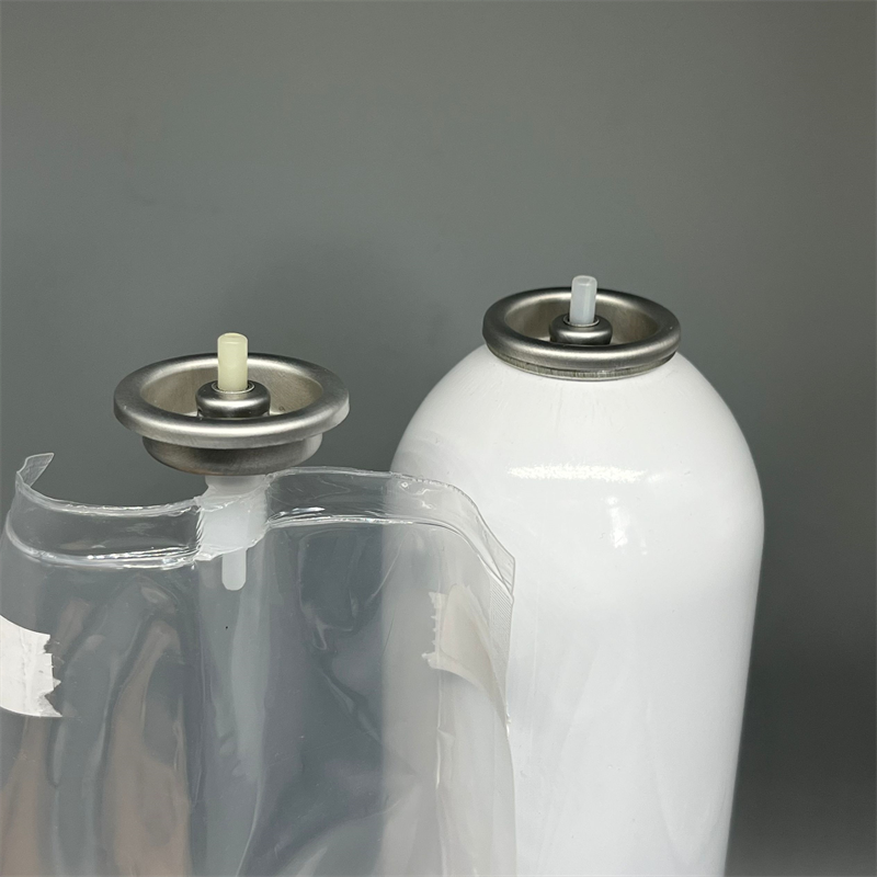 bag on valve (11)