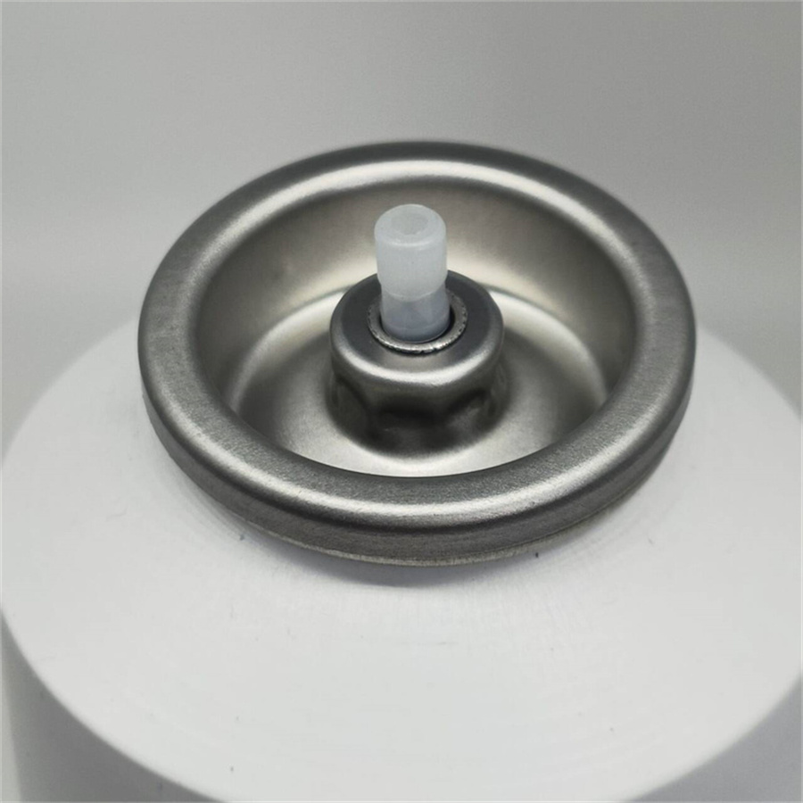 dry shampoo spray valve (47)