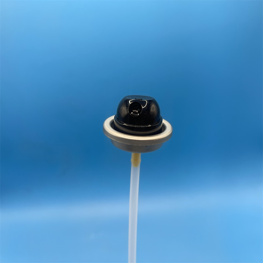 ANTIPERSPIRANT SPRAY VALVE (21)