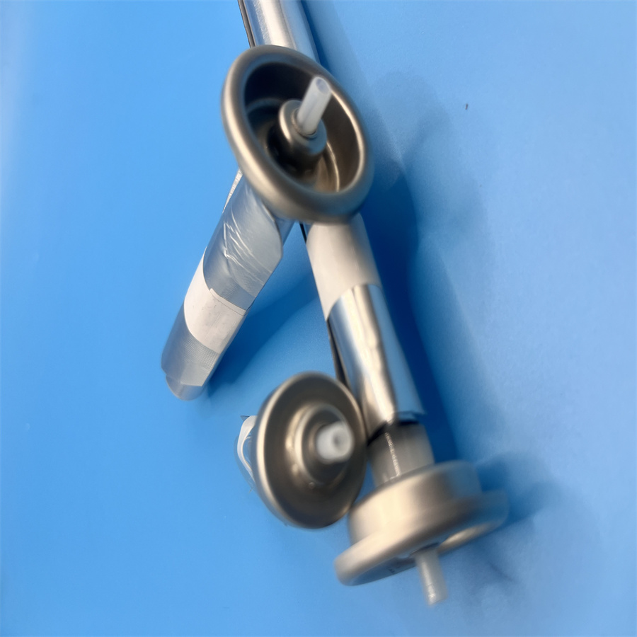 Versatile Bag on Valve Solution for Different Product Categories