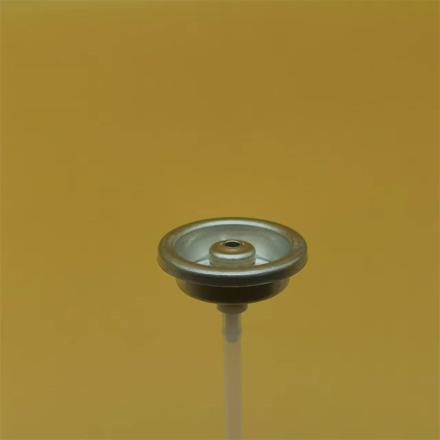 Compacte vrouwelijke verfspray -atomiserende klep voor doe -het -zelfprojecten 