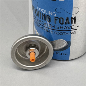 Eco-Friendly Shaving Foam Dispenser for Green Consumers with Recyclable Design