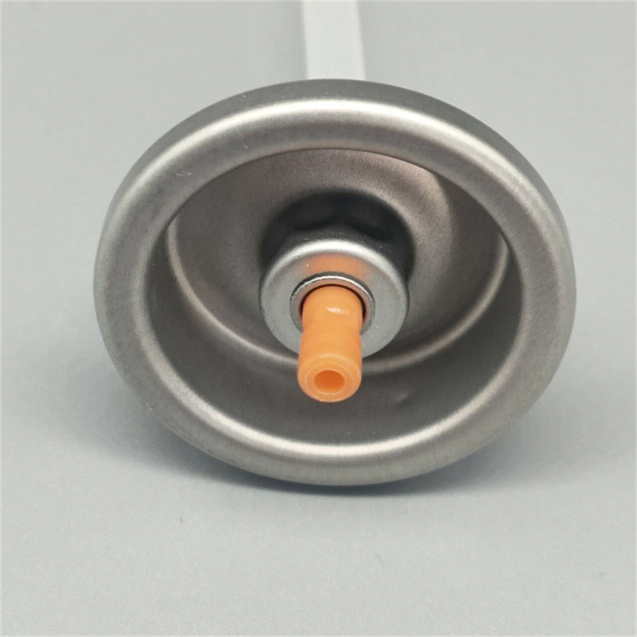 Hair Sheen Spray Valve (17)