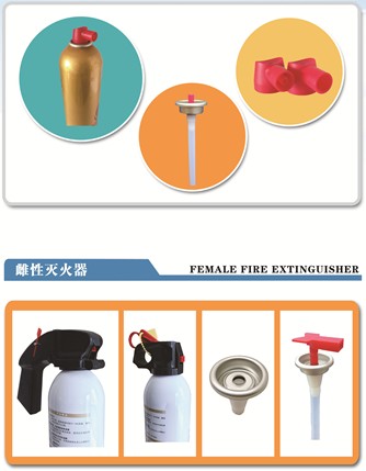 High Quality Fire Valve Extinguisher