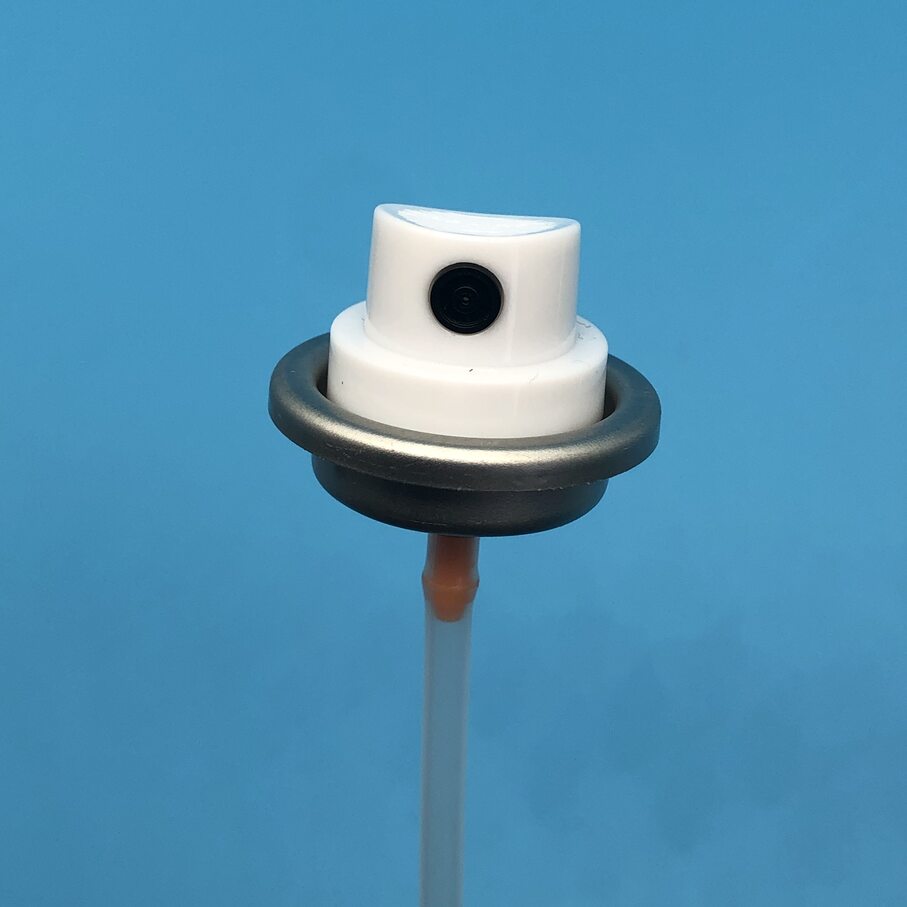 paint spray valve (50)