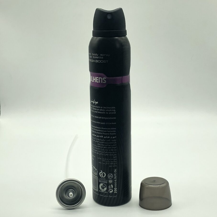 body spray valve (179)