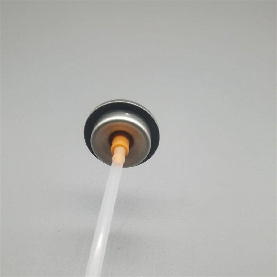 Ներկեք Aerosol Valve45