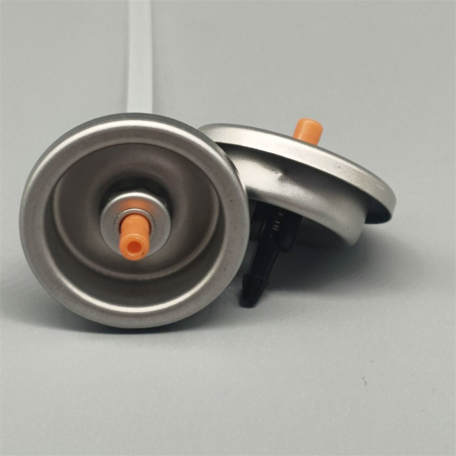 Oxygen aerosol valve (22)